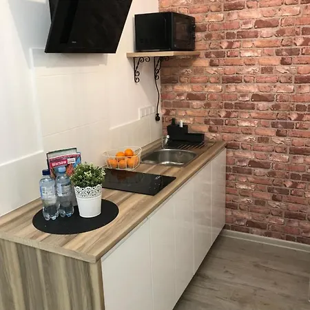 Brzeska 10 Apartment