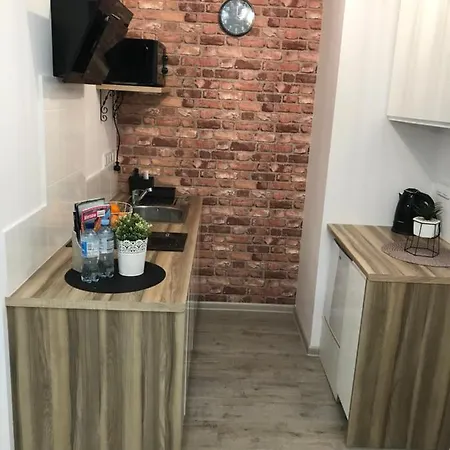 Apartament Brzeska 10 *