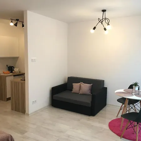 Apartament Brzeska 10