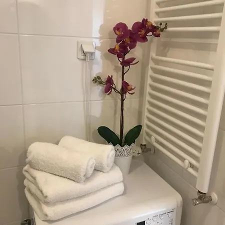 Brzeska 10 *